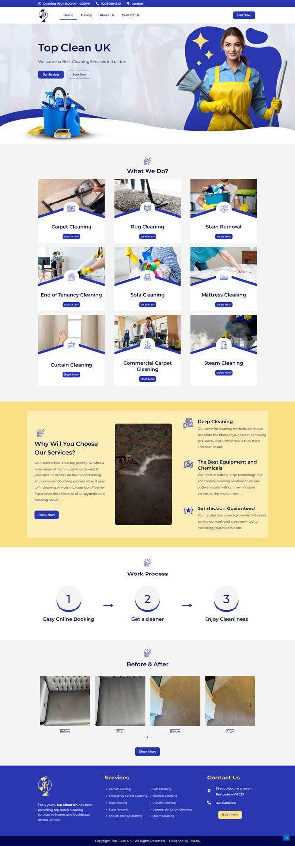 نمونه کار طراحی سایت بین‌المللی topclean